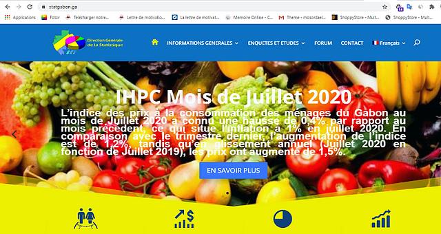 Site de la Direction Générale des Statistiques par L2h Services