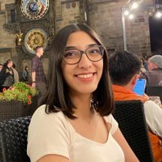 Wendy Sys Graphiste spécialisé en création de logo