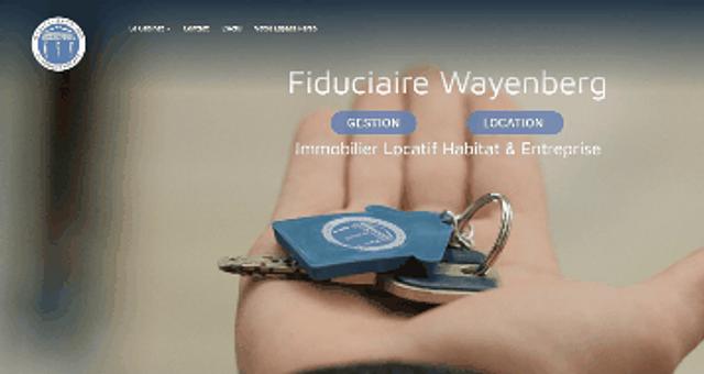 Agence IMMOBILLIÉRE - Wordpress - SEO par dm-france