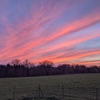 MediasNG Monteur vidéo