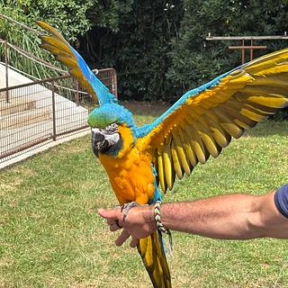 Kévin Hoppé Développeur web