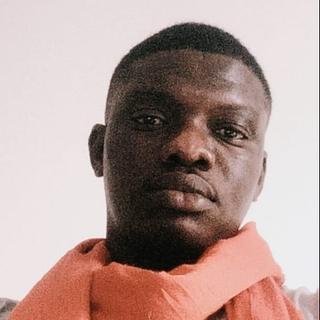 Assane Diop Développeur Laravel