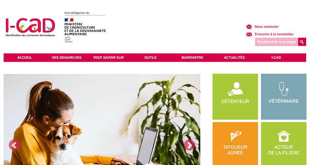 Refonte de la plateforme I-CAD par Ludwig Leplan