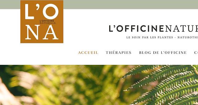 Audit SEO par bf-marketing