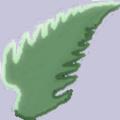 Philippe Moreno Développeur C++