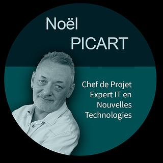Noel Picart Agence développement spécifique
