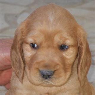 hannah79 Secrétaire