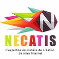 Necatis Agency Agence web