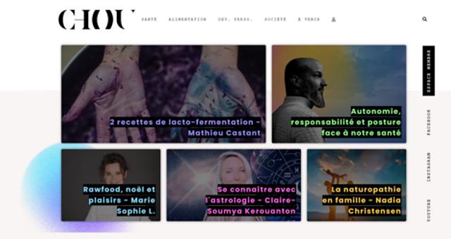 Développeur et intégrateur de lechou.fr par Remy Cornet