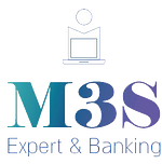 M3S Consulting