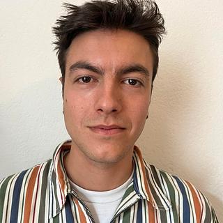 Ulysse Angosto Développeur WordPress