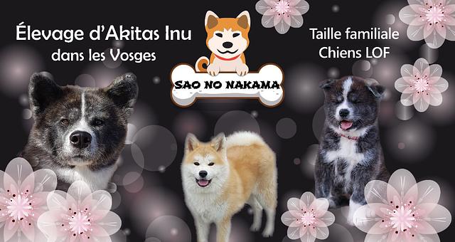 Carte de visite par Karen Pierrat