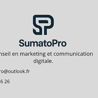 Rachid Kharboui Consultant web analytics