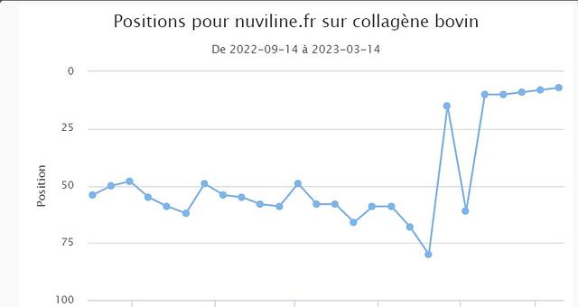 Rédaction web SEO par maudriswu