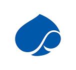 Capgemini Engineering