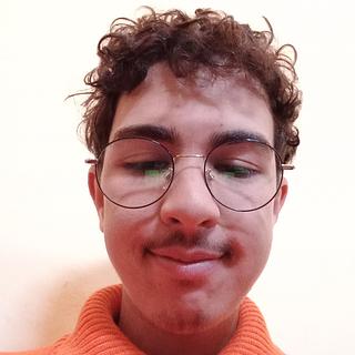 Hamza Essaadi Développeur WordPress