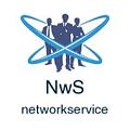 Network Service Rédacteur web