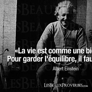 saizonourobert Développeur e-commerce