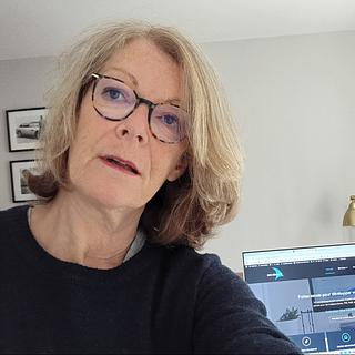 Corinne Niget Développeur WordPress