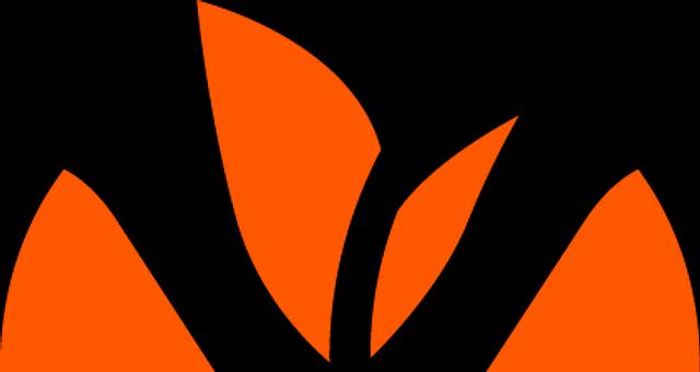 Ynovae par Blaise Barré