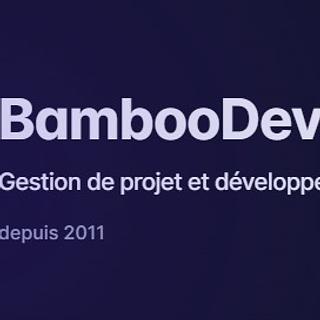 Ngoc Vo Chef de projet