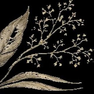 Valérie Dorion Secrétaire