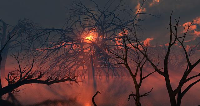  par Laurent Neveux