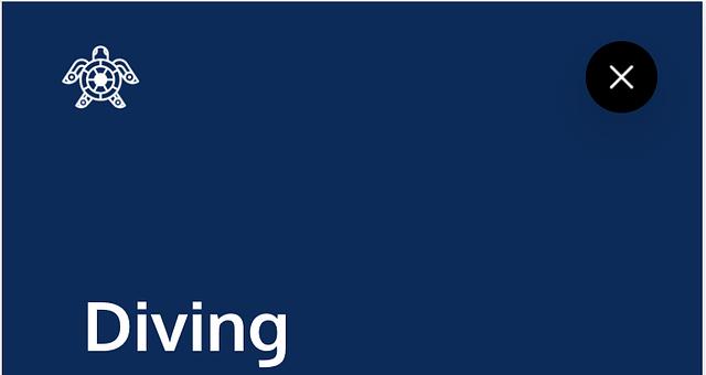 Tortuga Diving Club par Valentin Chauveau