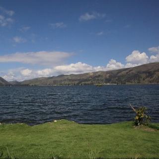 Mehdi Athamnia Développeur WordPress