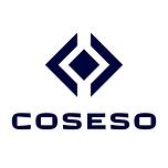Agence web Coseso