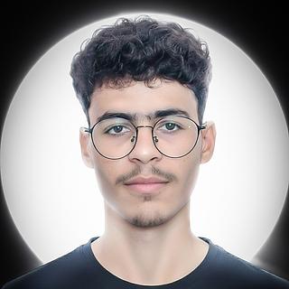 Mohamed Houz Développeur WordPress