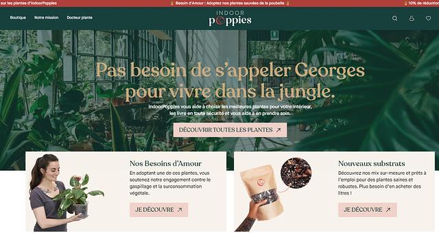 IndoorPoppies par Jerome Chanteclair