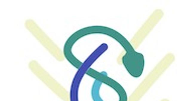 Developpeur Full Stack par Lucas Pharmadyne