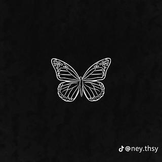 Lynn Nouaman Correcteur