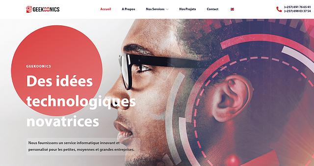 Site web Geekoonics par Martin Mbody