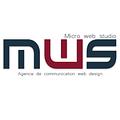 Micro web studio Développeur web