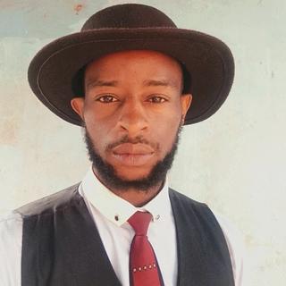 Claude Ayissi Développeur logiciel