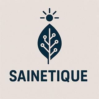 sainetique Développeur full-stack