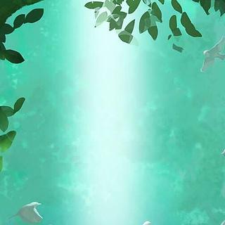 Christophe Chamalet Développeur WordPress