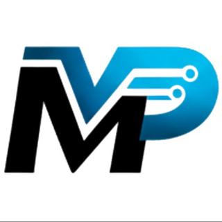 Matthieu Palisson Développeur WordPress