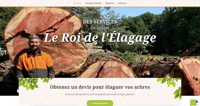 Élagueur dans le Pas-de-Calais par Paul Theron