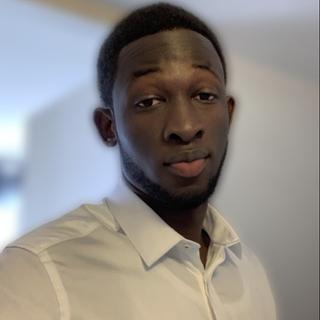 Mouhamadou Moustapha Lo Développeur Java