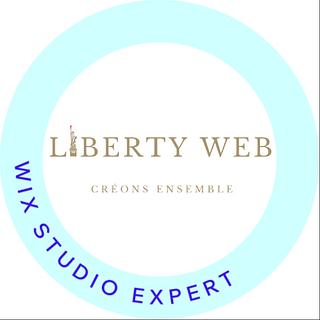 Marius Saurel Expert Wix