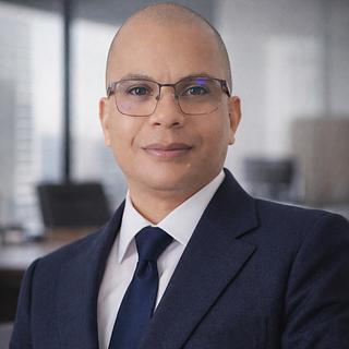 Fidimalala Michel Razafimahefa Agence d'architecture informatique