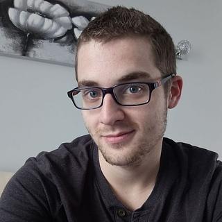 Ludovic Lerouge Développeur de jeux vidéo