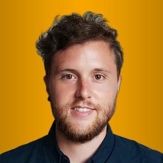 Nicolas Guasch-Bicking Développeur logiciel