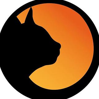 Amélie  Tratz Graphiste spécialisé en création de logo