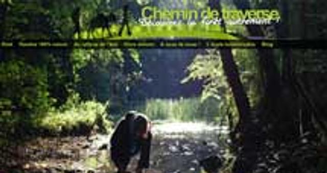 Chemin de traverse par Guillaume Guarin