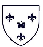 Site vitrine et plateforme de services en business plan et levée de fonds