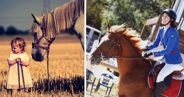 Site professionnel par Charlotte Allinieu